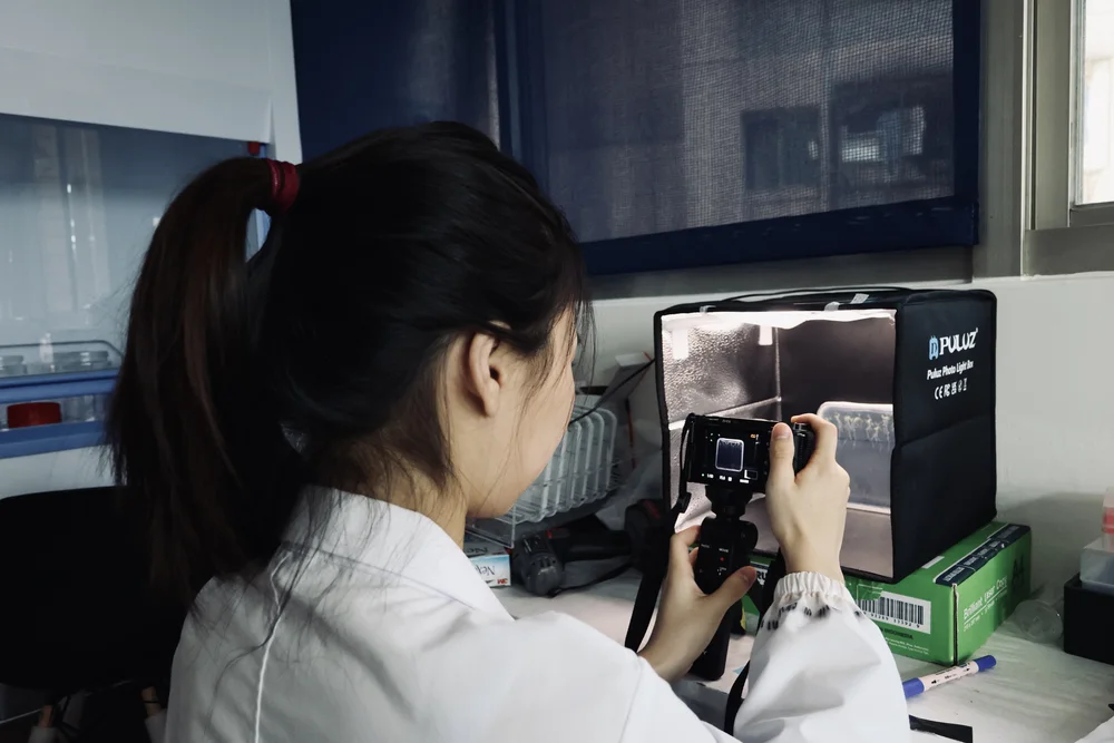 A student photographing a plate inside a lit photo box with a camera on a stand.