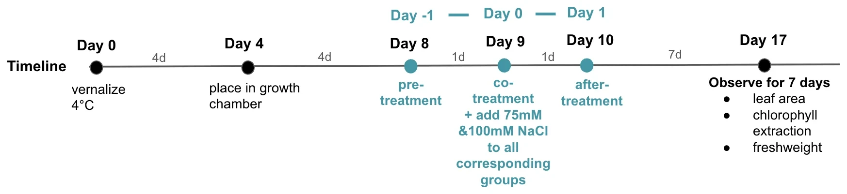 A timeline. Day 0 vernalize at 4 degrees; day 4 place in growth chamber; day 8 pre-treatment; day 9 co-treatment plus 75 and 100 millimolar NaCl to all corresponding groups; day 10 post-treatment; day 17 observe for 7 days: leaf area, chlorophyll extraction, fresh weight.