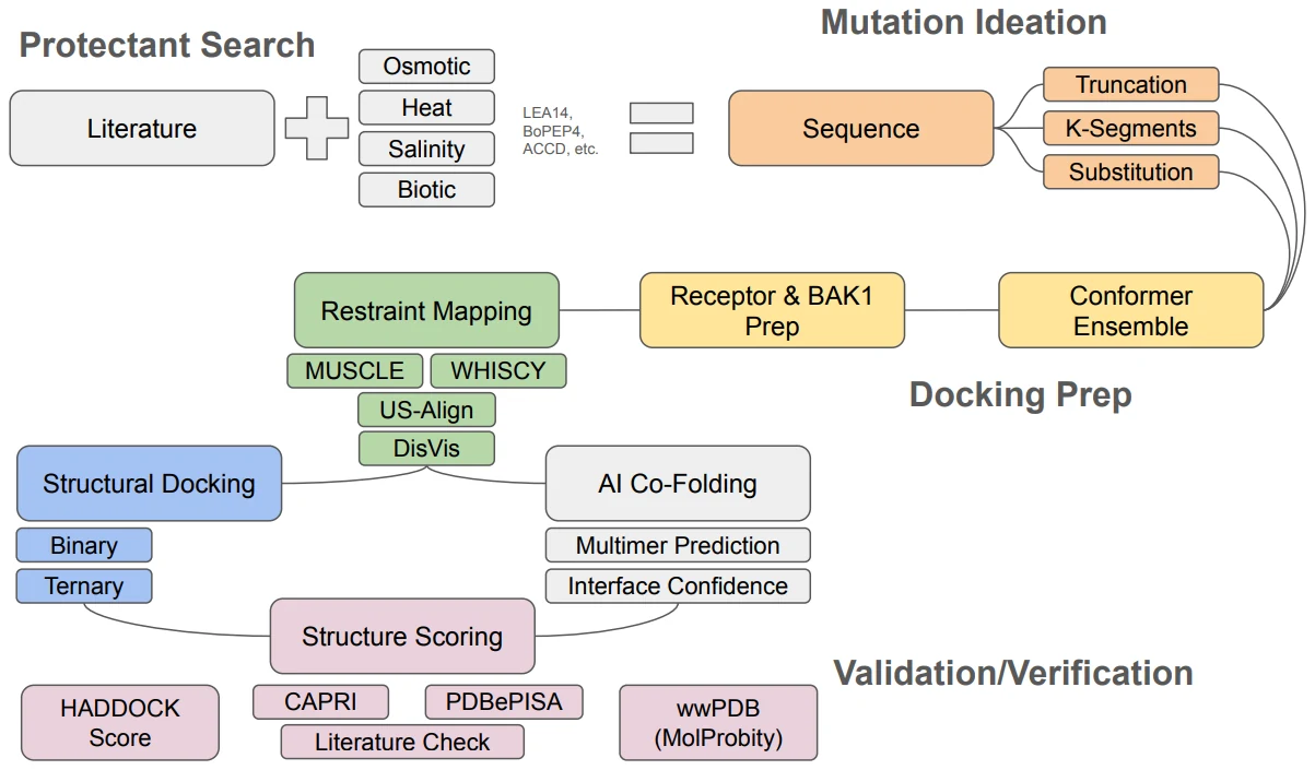 Flow chart of the protein design workflow, from literature and protectant families through mutation ideation, restraint mapping and conformer generation into docking, AI co-folding and structure scoring.