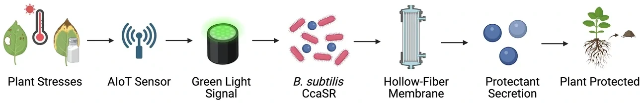 The ReLEAF chain drawn left to right: plant stresses, AIoT sensor, green light signal, B. subtilis CcaSR, hollow-fibre membrane, protectant secretion, plant protected.