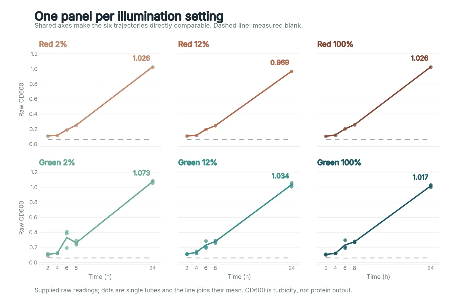 Six panels of raw OD600 against time, red 2, 12 and 100 per cent on the top row and green 2, 12 and 100 per cent below, each with a dashed blank line and the 24-hour value printed at the end of the curve.