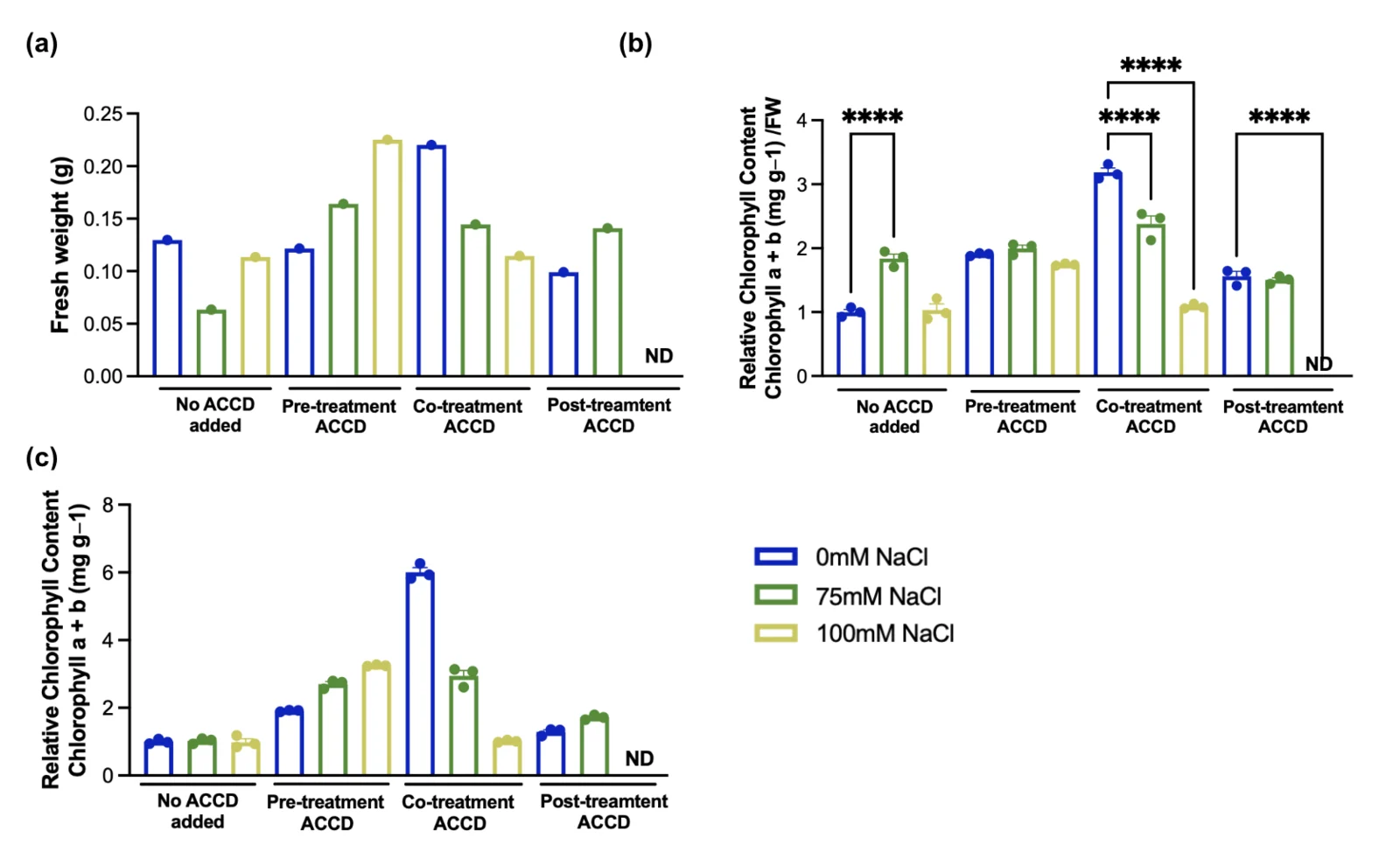 Three panels of bar charts. Fresh weight, chlorophyll per gram of fresh weight and relative chlorophyll content, each with four treatment timings on the x axis and three salt levels in blue, green and yellow, with four-star significance marks over several comparisons.