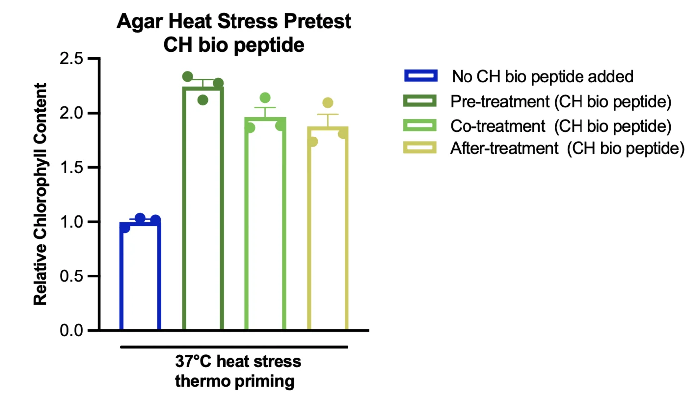 A bar chart of relative chlorophyll content for four treatment timings under heat stress, with the untreated bar at 1.0 and the pre-treatment bar at about 2.2.