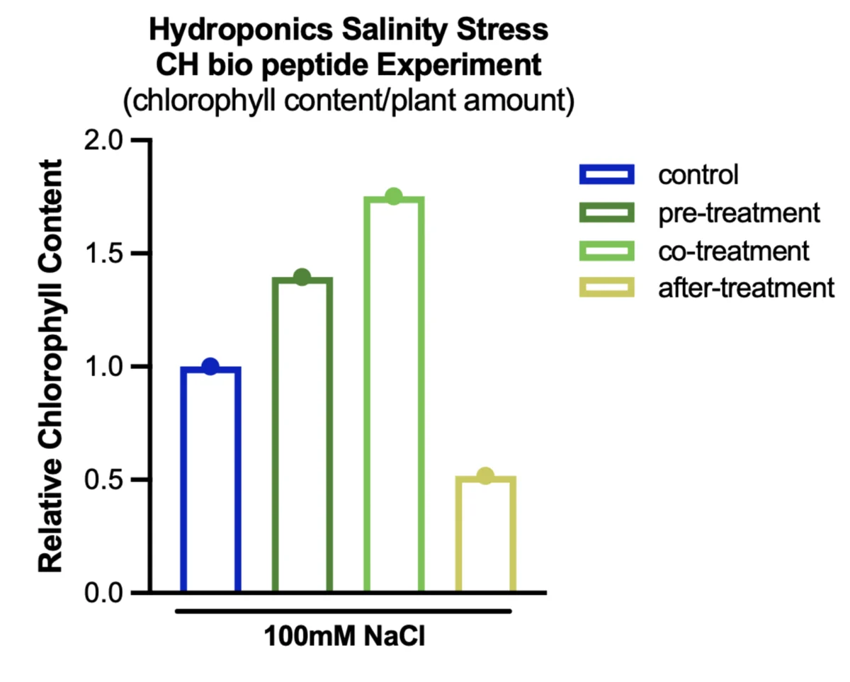 A bar chart of relative chlorophyll content under 100 millimolar sodium chloride for the same four treatment timing groups.