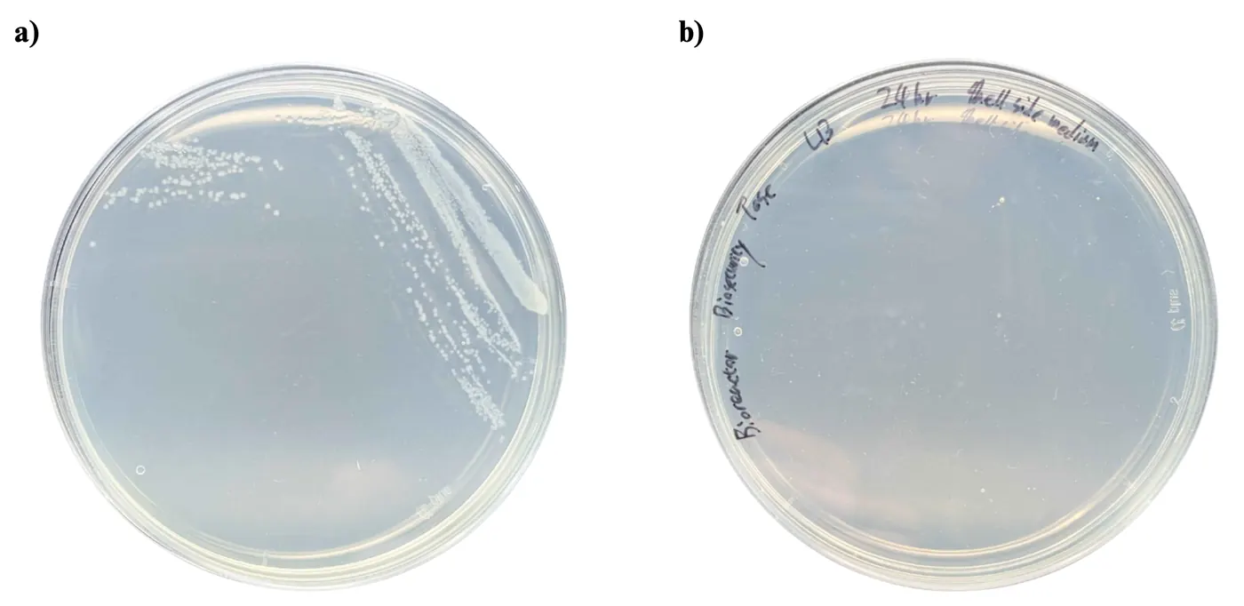 Two agar plates side by side. Plate a, spread with lumen-side medium, shows a few bacterial colonies. Plate b, spread with shell-side medium, is clear.