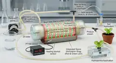 First bioreactor illustration