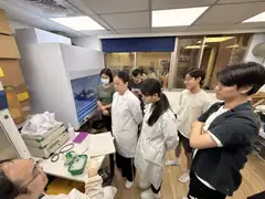 Learning electroporation