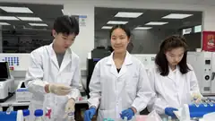 A good day in the lab