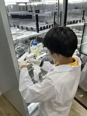 First B. subtilis growth test