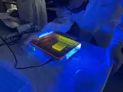 Gel after electroporation