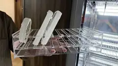 Vertical agar plates, started