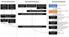 Bioreactor roadmap