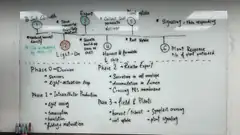 Whiteboard: where the delays might be