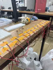 Sorted LED bulbs, the full row