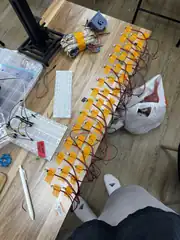 Sorted LED bulbs, the full row