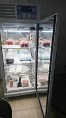 Incubator set up for the growth curve test
