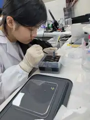 Transplanting, entirely absorbed