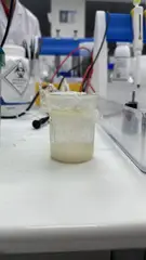 Hay infusion, set up for hydrolysis