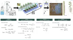 The whole model on one sheet, four coupled stages