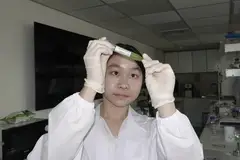 Chlorophyll extract, up to the light