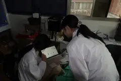 Going through the plant data