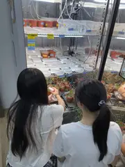 Watering, shelf by shelf