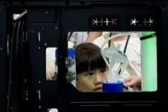 Looking into the bioreactor case