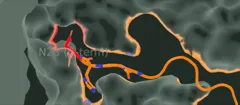 BoPEP4 on its receptor, from the MD set