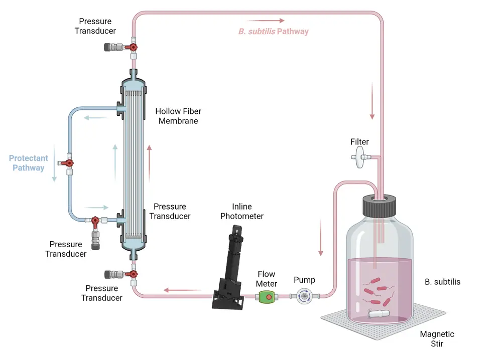 Diagram of the first integrated bioreactor: the culture bottle on a magnetic stirrer, with a filter on its cap, feeds a pump, a flow meter and the in-line photometer, then up through the hollow-fiber membrane past pressure transducers at its foot and top and back to the bottle; on the left the shell side runs as a short closed loop with a pressure transducer and a valve