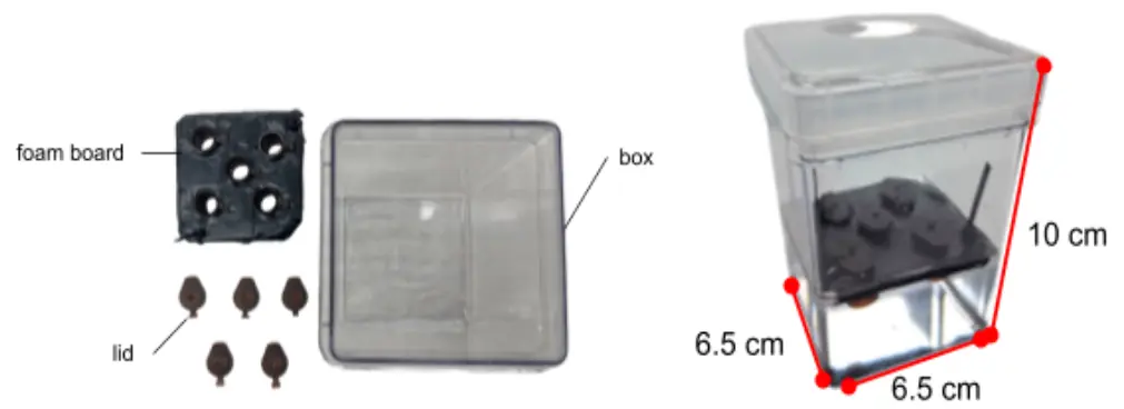The third container: a tall clear box, 6.5 by 6.5 by 10 cm, with a square foam board taped black holding five seed holders.