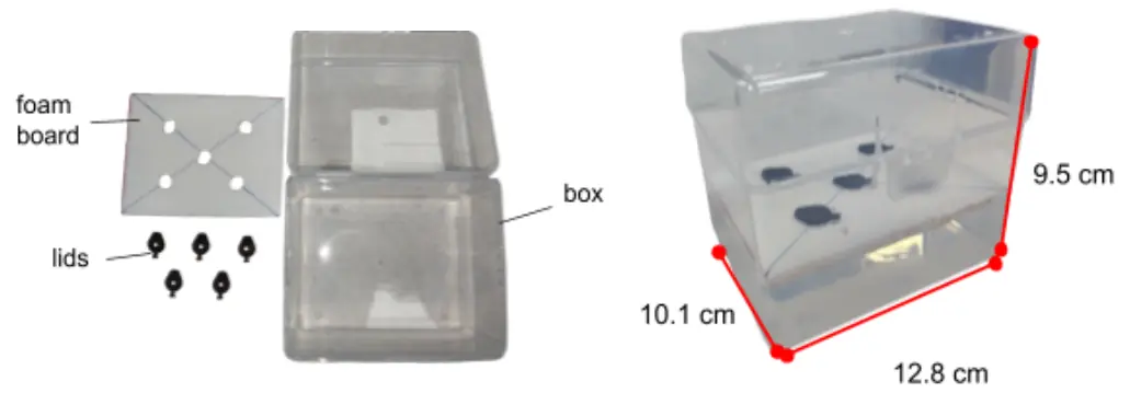 The pipette-tip box, 12.8 by 10.1 by 9.5 cm, clear, with a white foam board on top punched with five holes for the seed-holder lids.