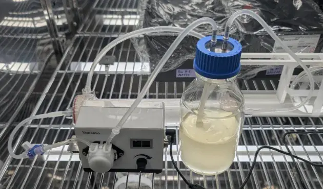 Prototype I-0610 on an incubator shelf: the peristaltic pump, the tubing to the membrane and the reservoir bottle of medium