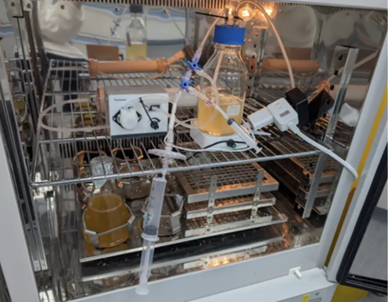Prototype II-0614 inside an incubator: the blue-capped reservoir bottle of yellow culture on a magnetic stir plate, the peristaltic pump beside it, and a syringe hanging from the sampling valve
