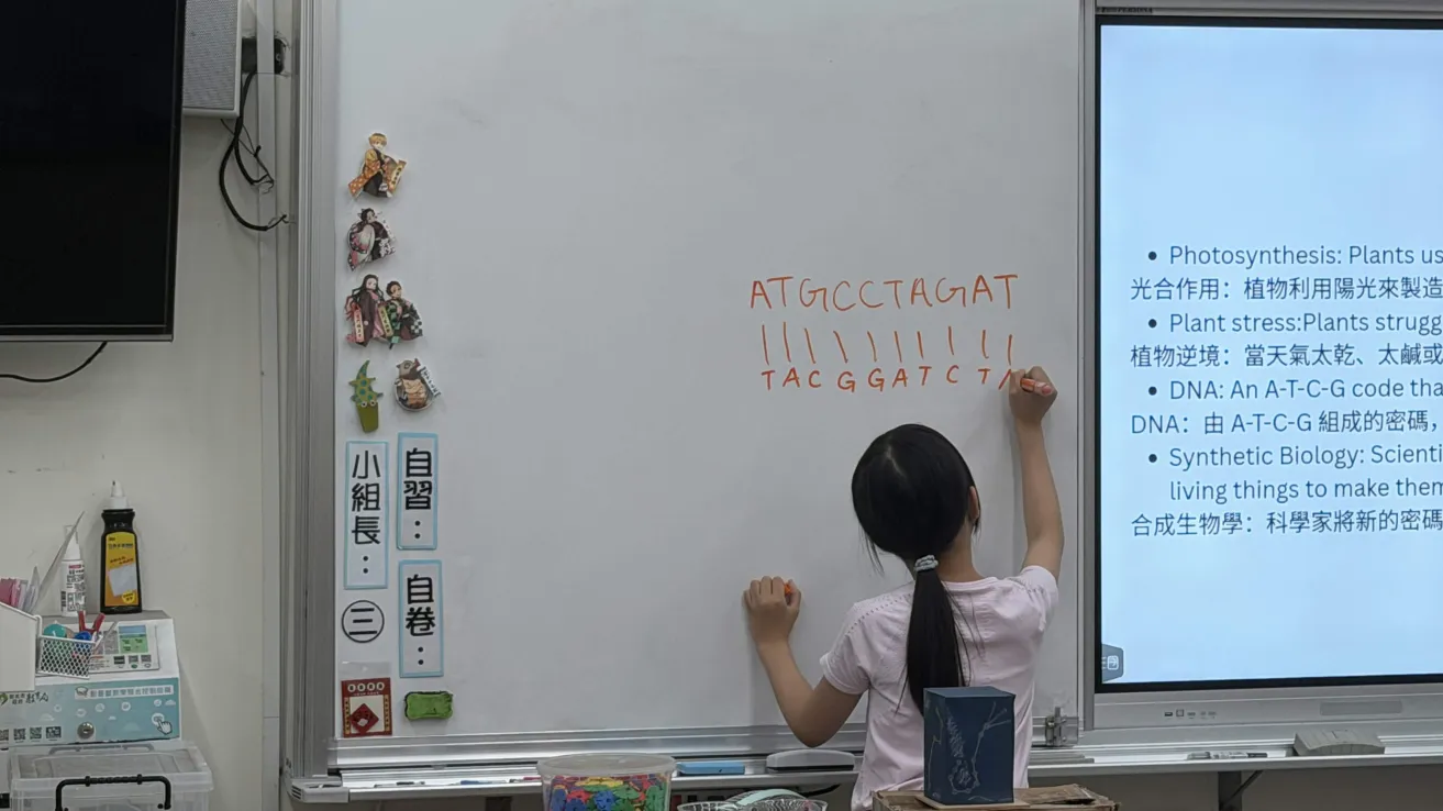 A young student writing a complementary DNA sequence under an example sequence on the whiteboard, next to a projected slide.