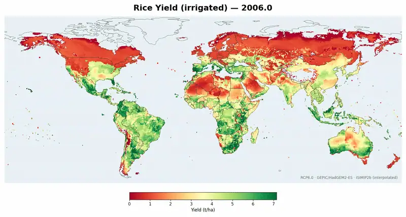 Animated world map of projected irrigated rice yield from 2006 to 2098, green for high yield and red for low, with the high-yield belt shrinking over the century.