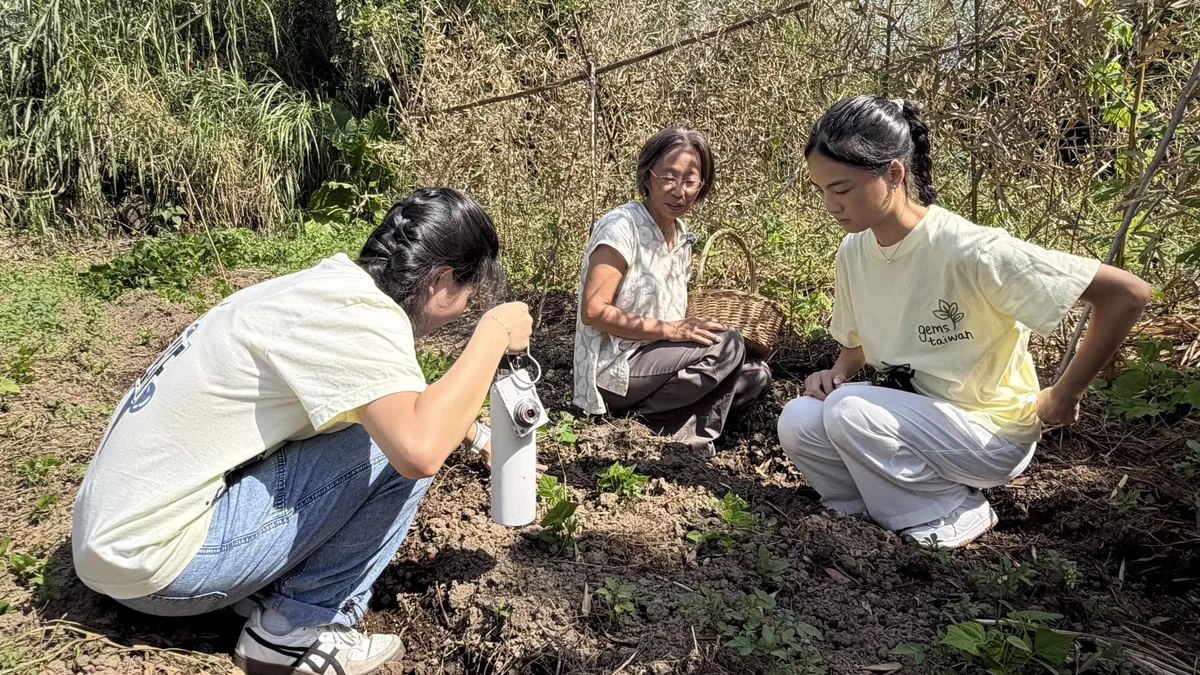 Ms. Chen crouching in a sunlit field beside a harvest basket, talking to two ReLEAF students who are crouched on either side of her, all three looking down at a patch of bare dark soil between them.