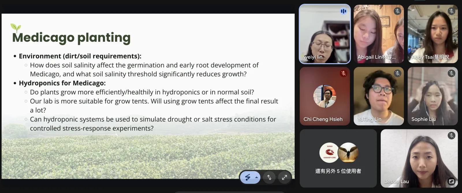 A video call slide titled Medicago planting, listing questions on soil salinity and hydroponics, with participant tiles beside it.