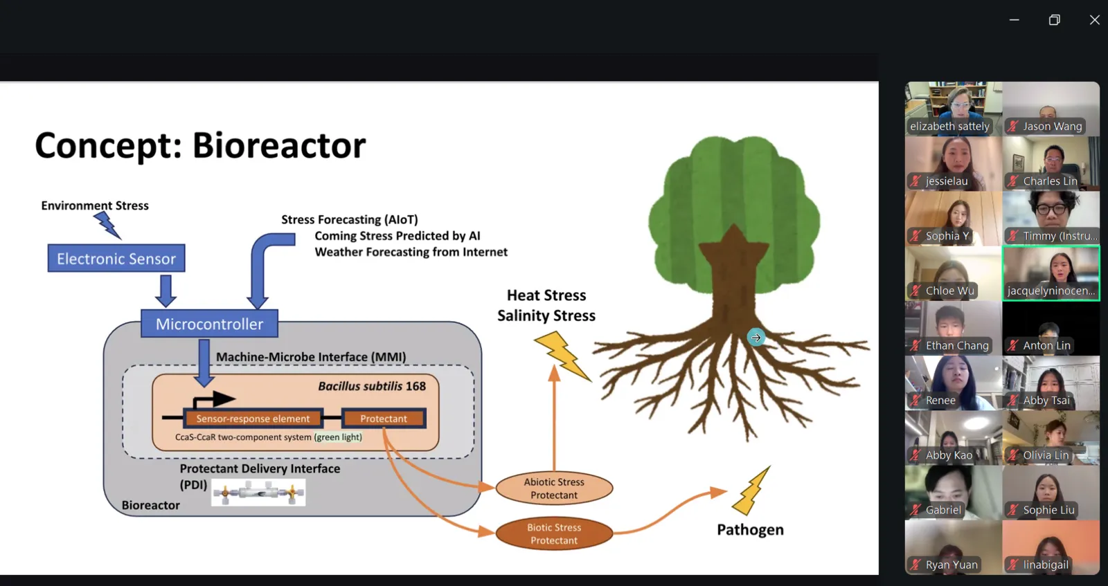 A video call slide titled Concept: Bioreactor, showing an electronic sensor, microcontroller and bioreactor feeding protectant to a tree’s roots.