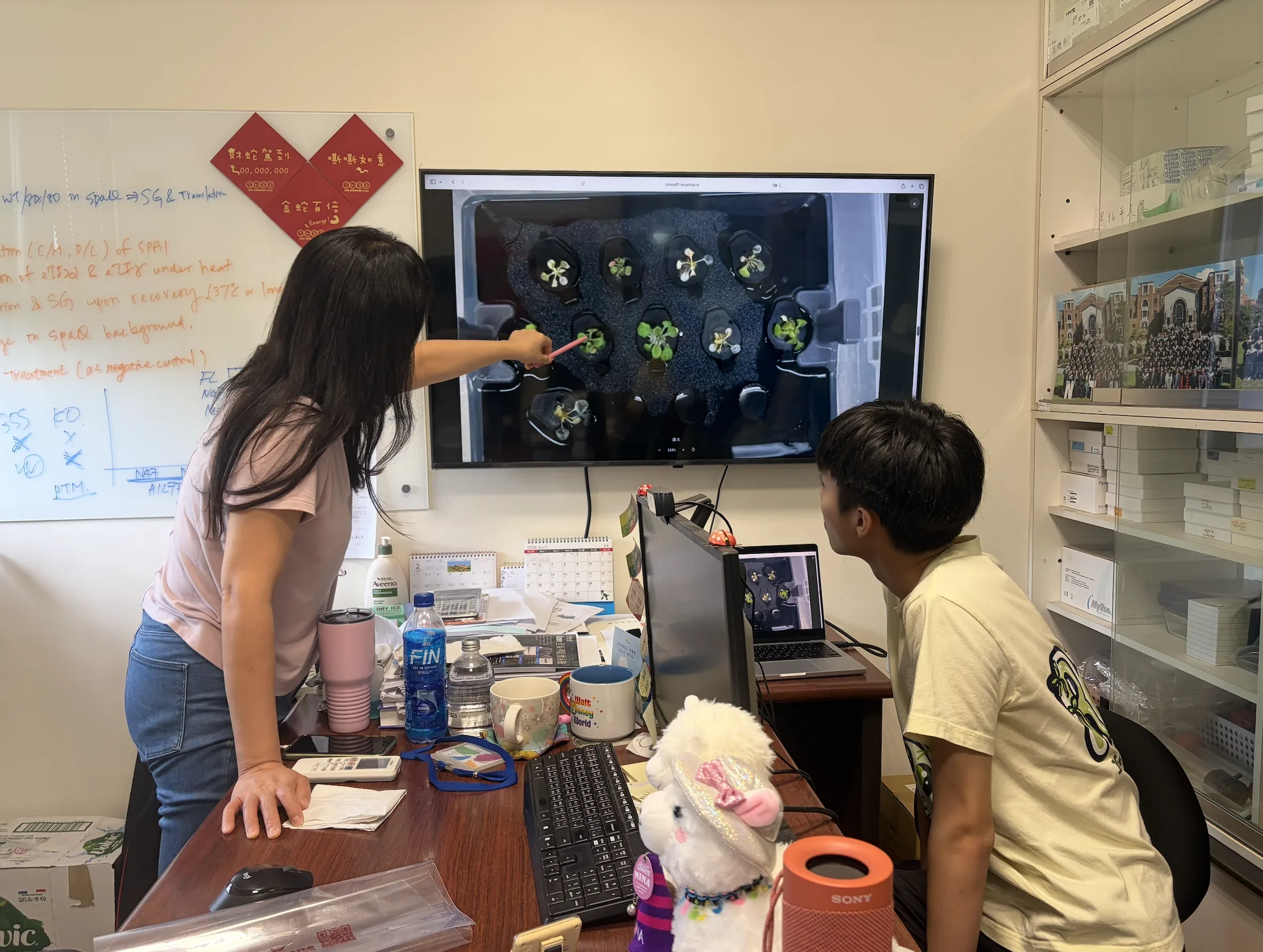 Prof. Cheng pointing at plant images on a wall screen in her office while a student looks on.