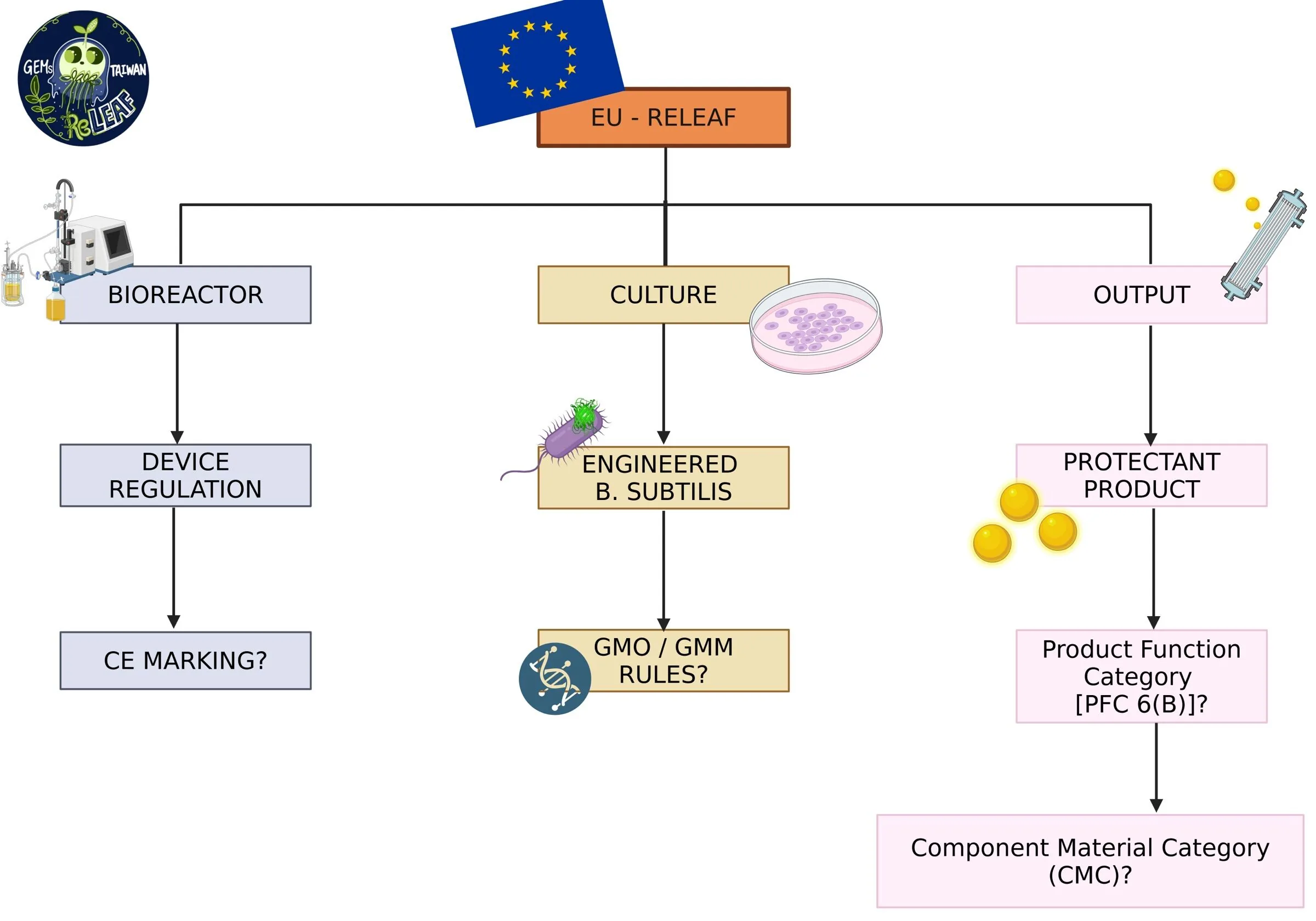 A tree diagram for the EU. The bioreactor leads to device regulation and a question mark over CE marking; the culture leads to engineered B. subtilis and GMO or GMM rules; the output leads to the protectant product, Product Function Category PFC 6(B), and Component Material Category.